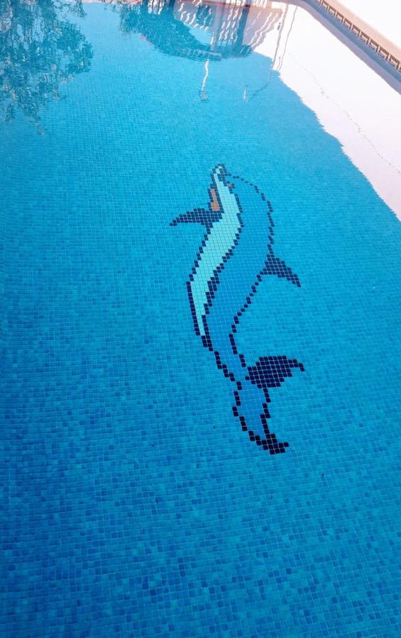 Flamingo Vila Alicante San Pedro del Pinatar Εξωτερικό φωτογραφία