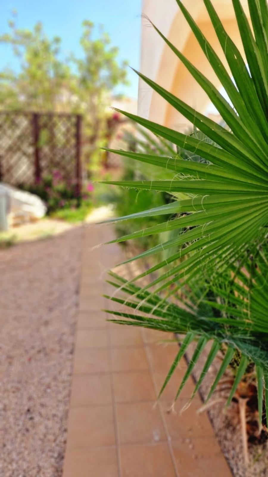 Flamingo Vila Alicante San Pedro del Pinatar Εξωτερικό φωτογραφία